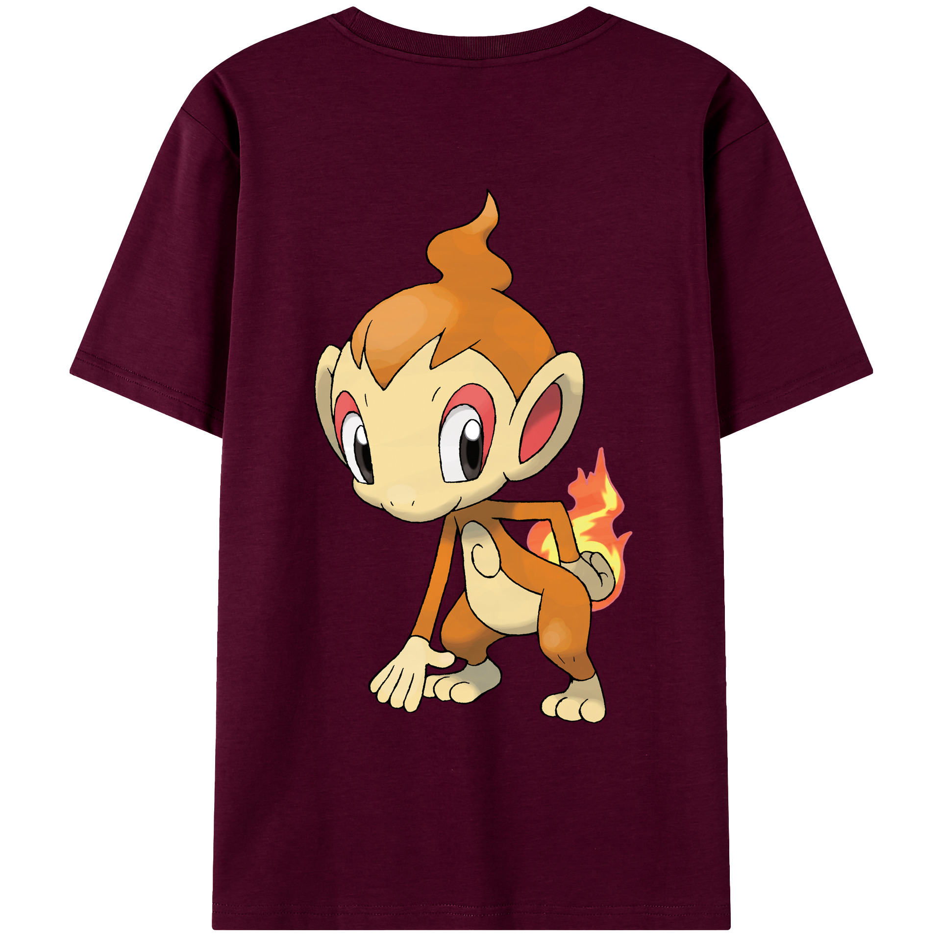 （画像用） ポケットモンスター Pokémon レディース半袖Tシャツ(バックプリント)